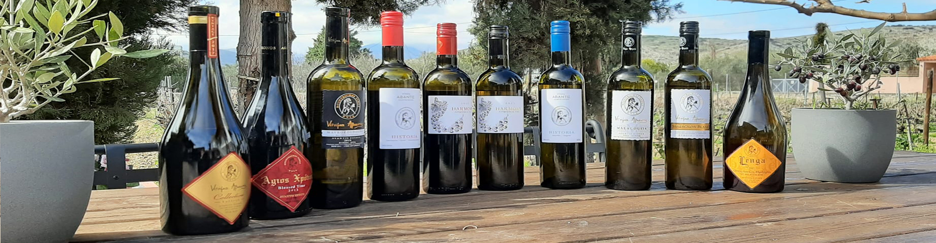 Avantis Estate
