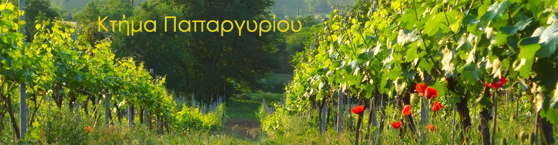 Papargyriou Εstate