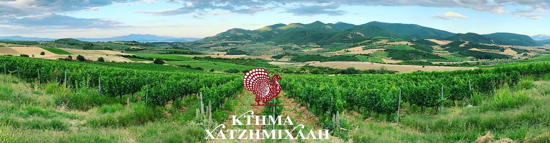 Κτήμα Χατζημιχάλη