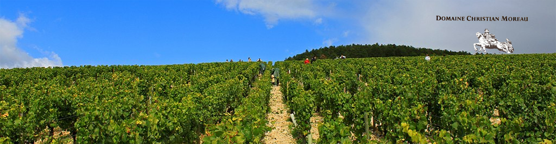 Domaine Christian Moreau