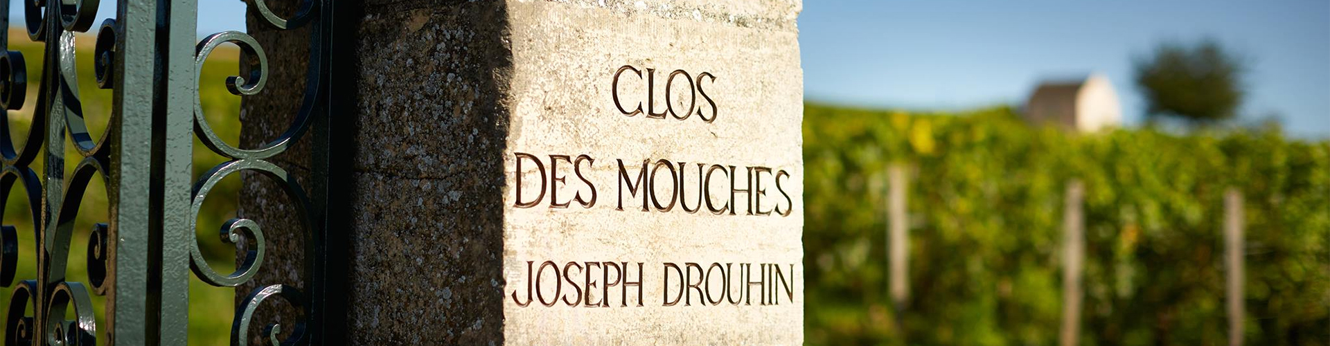 Joseph Drouhin
