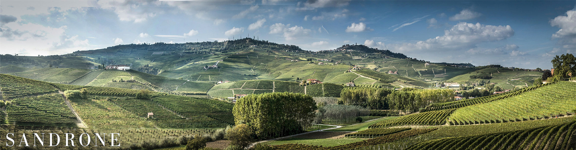 Luciano Sandrone