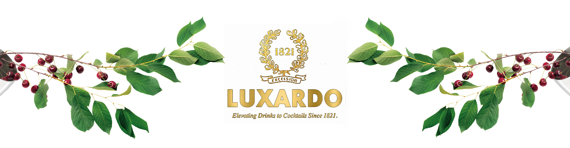 Luxardo