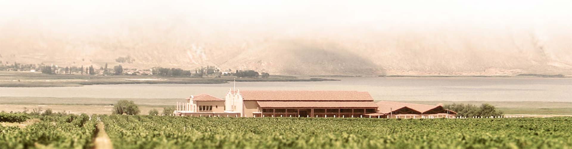 Alpha Estate