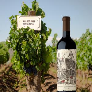 Catena Zapata Malbec Argentino | Dry Red Wine (2020) 750ml | Bodega Catena Zapata