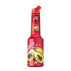 Mixer Papaya Puree 1L | Mixer