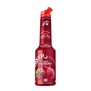 Mixer Raspberry Puree 1L | Mixer