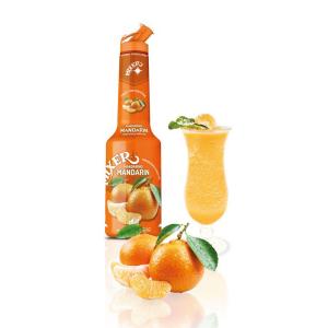 Mixer Mandarin Puree 1L | Mixer