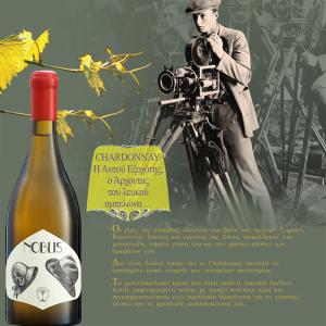 Messenicola Noblis | ΠΓΕ Καρδίτσα Λευκός Ξηρός Chardonnay (2020) 750ml | Winery Monsieur Nicolas