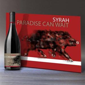 Messenicolas Paradise Can Wait | PGI Karditsa Dry Red Wine  Syrah (2019) 750ml | Winery Monsieur Nicolas