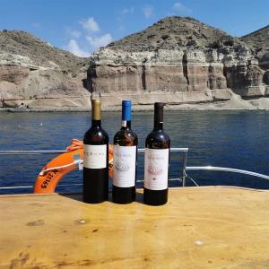 Sigalas Santorini | PDO Santorini Dry White Wine Assyrtiko (2022) 750ml | Domaine Sigalas