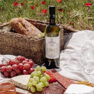 Alfega Λευκός | ΠΓΕ Κοιλάδα Αταλάντης Ξηρός Sauvignon Blanc Μαλαγουζιά Ρομπόλα (2022) 750ml | Κτήμα Χατζημιχάλη