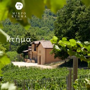 Mikro Ktima Titos Goumenissa | PDO Goumenissa Red Dry Wine Xinomavro Negoska (2020) 750ml | Ktima Biblia Chora