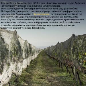 Χρυσογέρακας | ΠΓΕ Φλώρινα Λευκός Γλυκύς Gewurztraminer Μαλαγουζιά (2017) 500ml | Κυρ Γιάννη