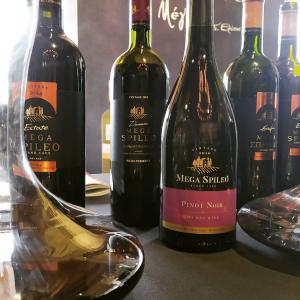 Μέγα Σπήλαιο Pinot Noir | Ερυθρός Ξηρός (2020) 750ml | Κτήμα Μέγα Σπήλαιο