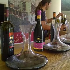 Μέγα Σπήλαιο Pinot Noir | Ερυθρός Ξηρός (2020) 750ml | Κτήμα Μέγα Σπήλαιο