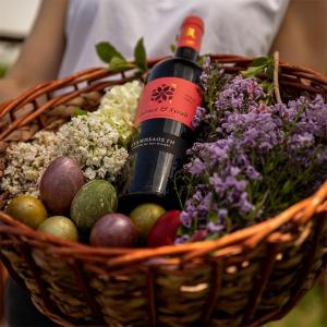 Ευάμπελος Γη Cabernet Sauvignon Syrah | ΠΓΕ Φθιώτιδα Ερυθρός Ξηρός (2021) 750ml | Ευάμπελος Γη