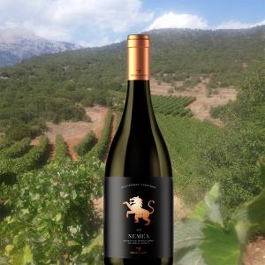 Troupis Nemea Red | PDO Nemea Dry Wine Agiorgitiko (2021) 750ml | Troupis Winery