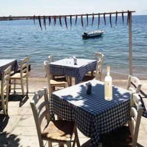 Κατσάρος Τσίπουρο Με Γλυκάνισο 700ml | Κατσάρος Αποστάγματα