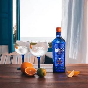 Larios 12 Premium Gin 700ml | Larios