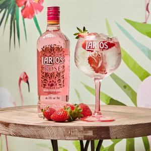 Larios Rose Premium Gin 700ml | Larios