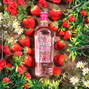 Larios Rose Premium Gin 700ml | Larios