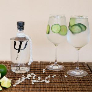 Psychis Chios Mastiha Liqueur 500ml | Premium Greek Liqueur | K. Psychis & Sons Distillery