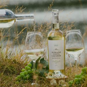 Domaine Costa Lazaridi Μαλαγουζιά | ΠΓΕ Δράμα Λευκός Ξηρός (2022) 750ml | Κτήμα Κώστα Λαζαρίδη