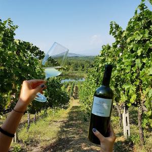 Τέσσερις Λίμνες | ΠΓΕ Φλώρινα Chardonnay Gewurztraminer Ξηρός Λευκός (2023) 750ml | Κυρ Γιάννη