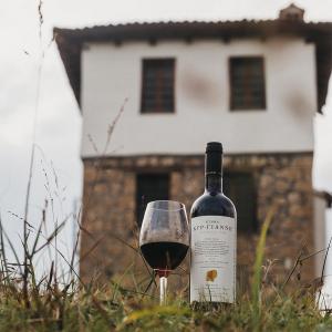 Κτήμα Κυρ Γιάννη Fallen Oak | ΠΓΕ Ημαθία Ερυθρός Ξηρός Ξινόμαυρο Merlot Syrah (2020) 750ml | Κυρ Γιάννη