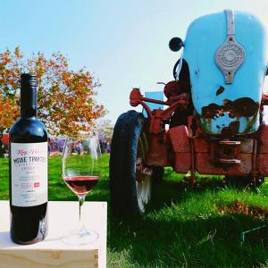 Μπλέ Τρακτέρ Ερυθρός | ΠΓΕ Μακεδονία Ξηρός Cabernet Sauvignon Syrah Merlot (2021) 750ml | Κυρ Γιάννη