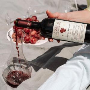 Cabernet Sauvignon Ερυθρός | ΠΓΕ Κοιλάδα Αταλάντης Ξηρός (2018) 750ml | Κτήμα Χατζημιχάλη
