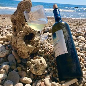 Ktima Gerovassiliou White | PGI Epanomi Dry White Wine Malagousia Assyrtiko (2024) 750ml | Ktima Gerovassiliou