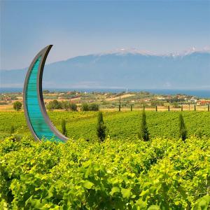 Ktima Gerovassiliou White | PGI Epanomi Dry White Wine Malagousia Assyrtiko (2024) 750ml | Ktima Gerovassiliou