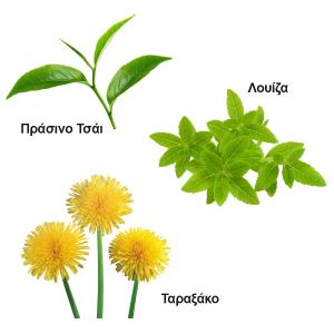 Τσάι Δίαιτας 100g | Βιολογικό Πράσινο Τσάι με Λουίζα Ταραξάκο | Ο Δρόμος του Τσαγιού