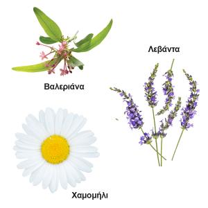 Τσάι Χαλάρωσης 100g | Τσάι με Βαλεριάνα Χαμομήλι Λεβάντα | Ο Δρόμος του Τσαγιού